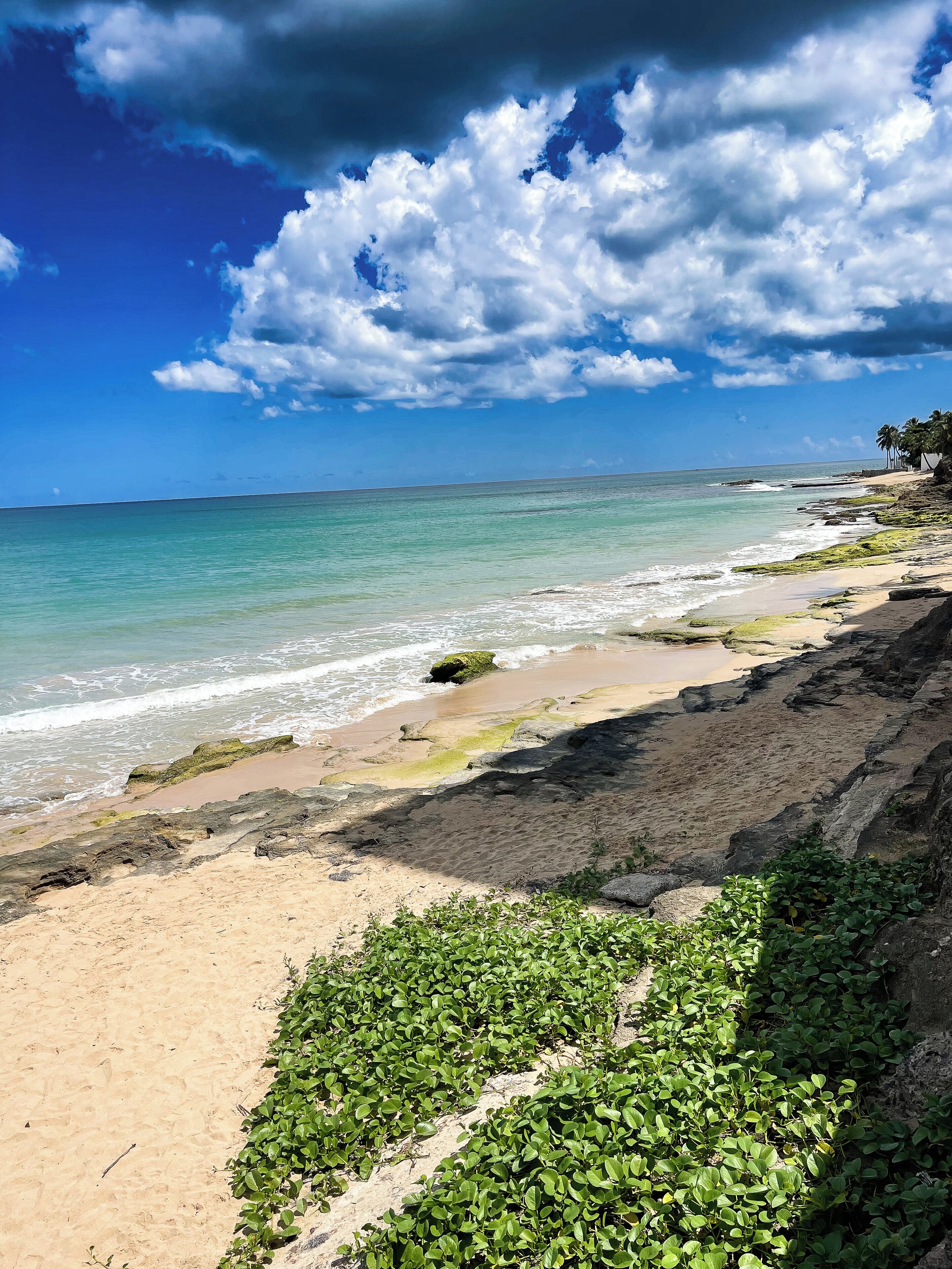 Foto - Canario Boutique Hotel