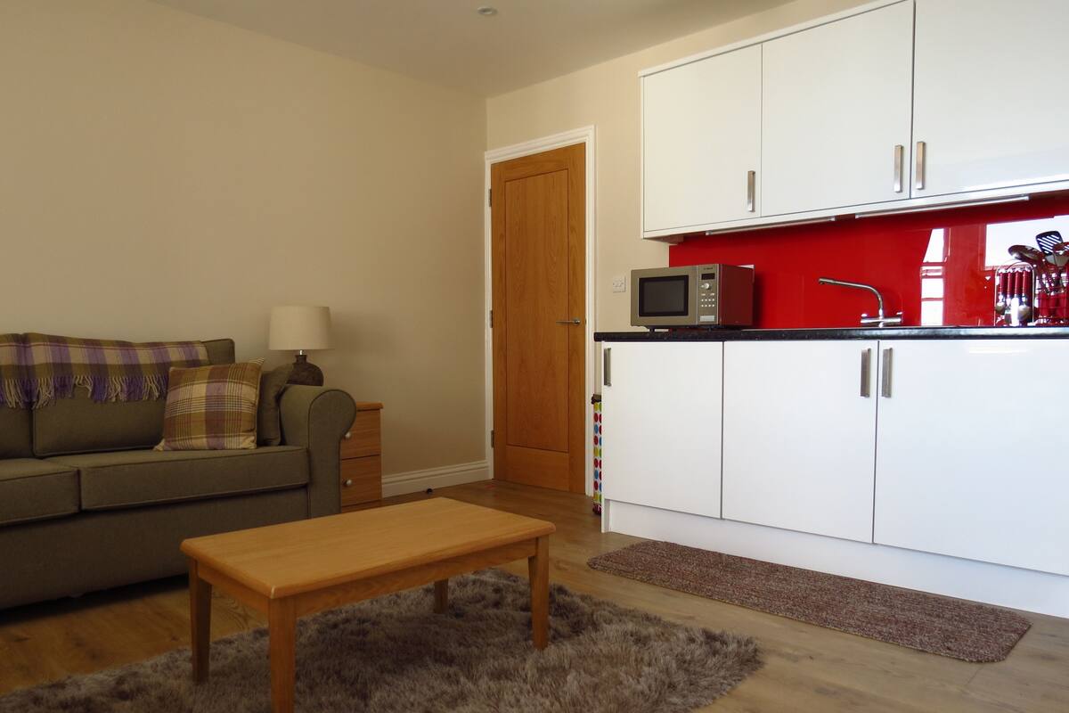 A compact living space with a sofa, a wooden coffee table, a kitchen area with white cabinets and a red backsplash, and a wooden door.