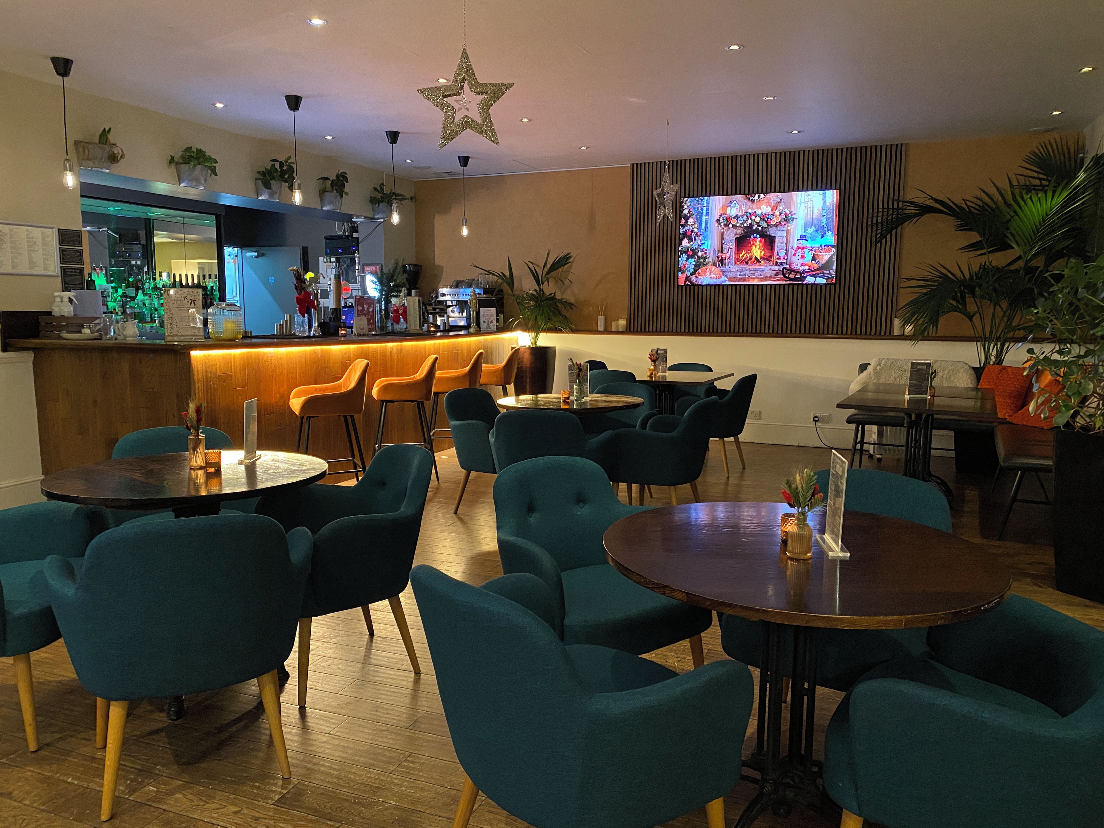 A bar area with seating, a television screen, and decorative plants.