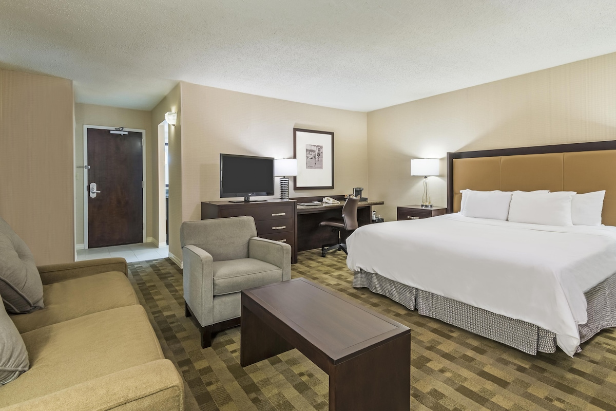 A hotel room with a bed, a desk, a chair, a television, and a sofa.