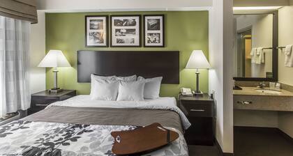 Rodeway Inn Knoxville North