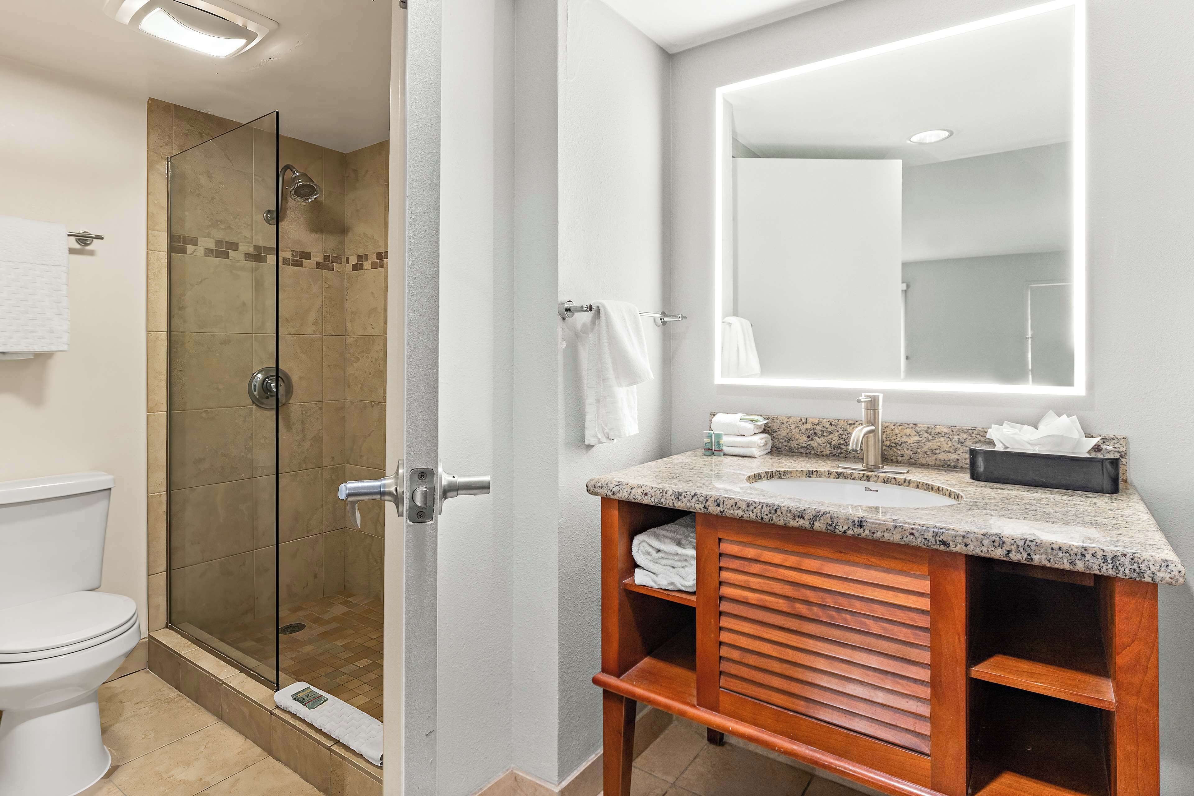 A bathroom with a glass-enclosed shower, a sink with a mirror, and a toilet.