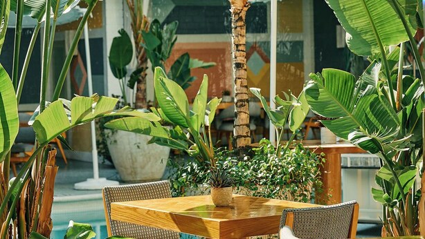 An outdoor seating area with a pool, surrounded by various tropical plants and a wooden table with chairs. - Avalon Hotel Beverly Hills, a Member of Design Hotels (Beverly Hills)