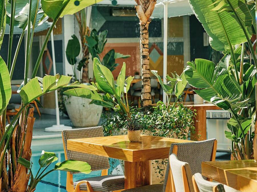 Breakfast, lunch, dinner served; international cuisine, pool views