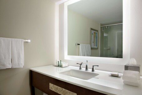 Hilton Miami Airport Blue Lagoon - Image 58