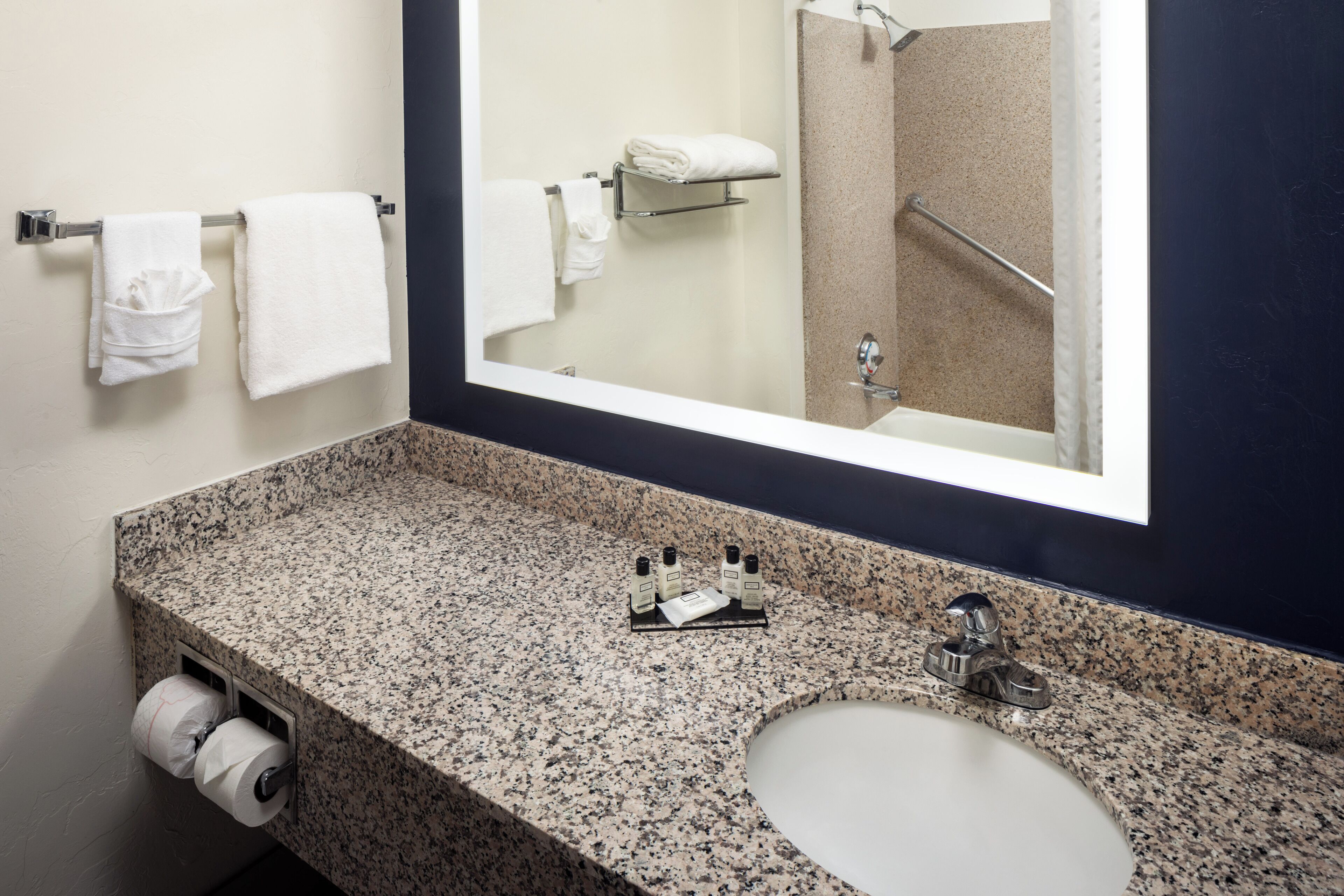 combined shower/bathtub, free toiletries, hair dryer, towels