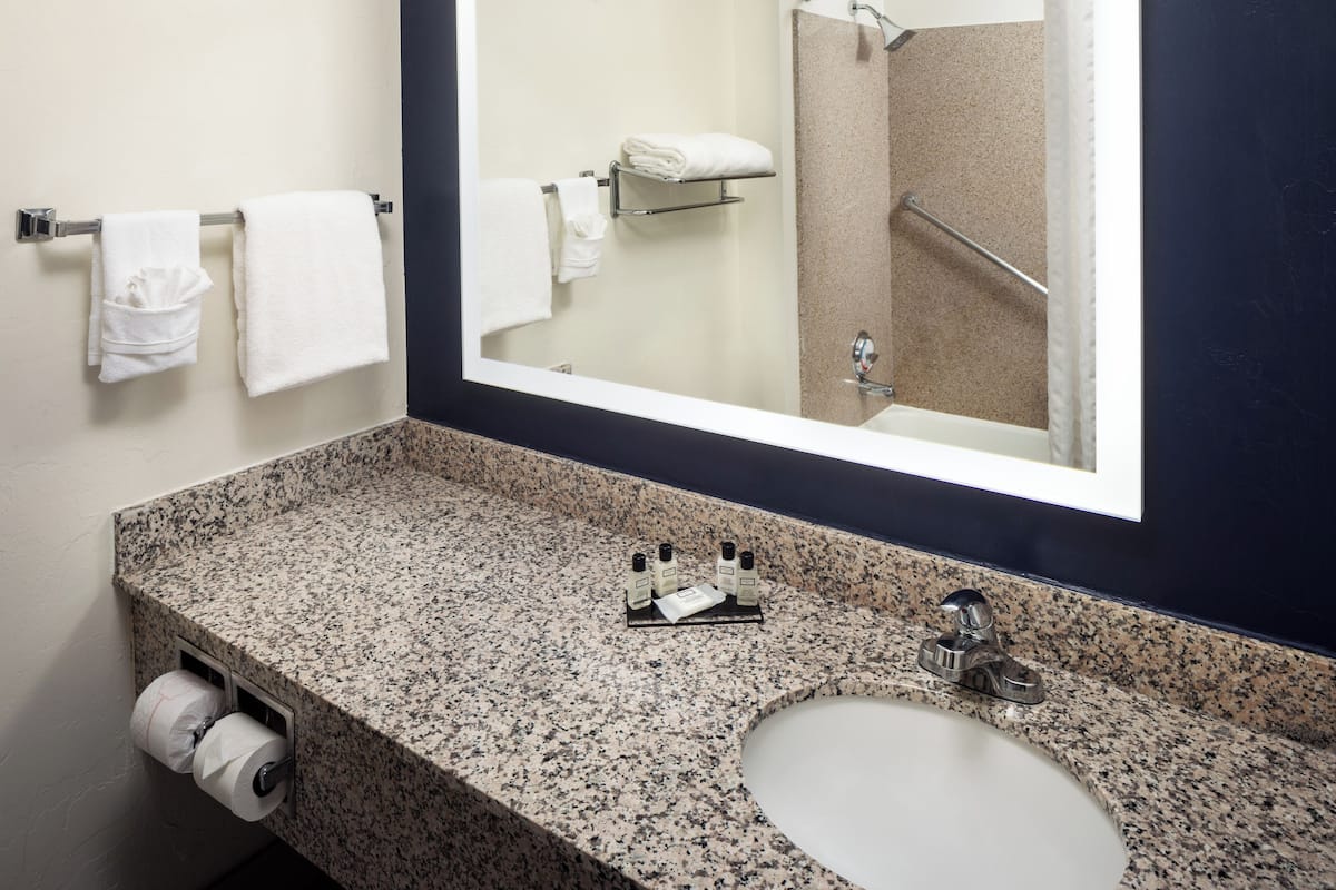 combined shower/bathtub, free toiletries, hair dryer, towels