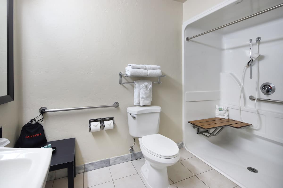 standard room, 1 king bed, accessible, non smoking | bathroom | combined shower/bathtub, free toiletries, hair dryer, towels