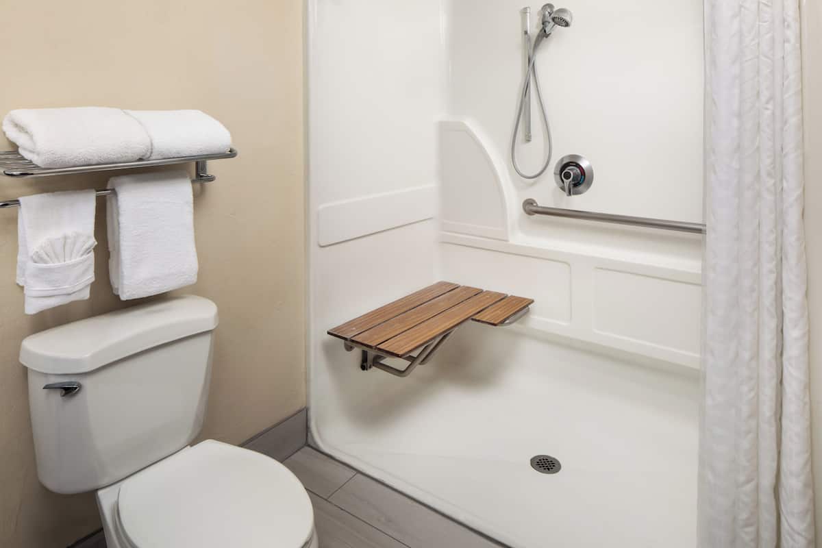combined shower/bathtub, free toiletries, hair dryer, towels