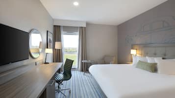 Minibar, desk, iron/ironing board, free WiFi