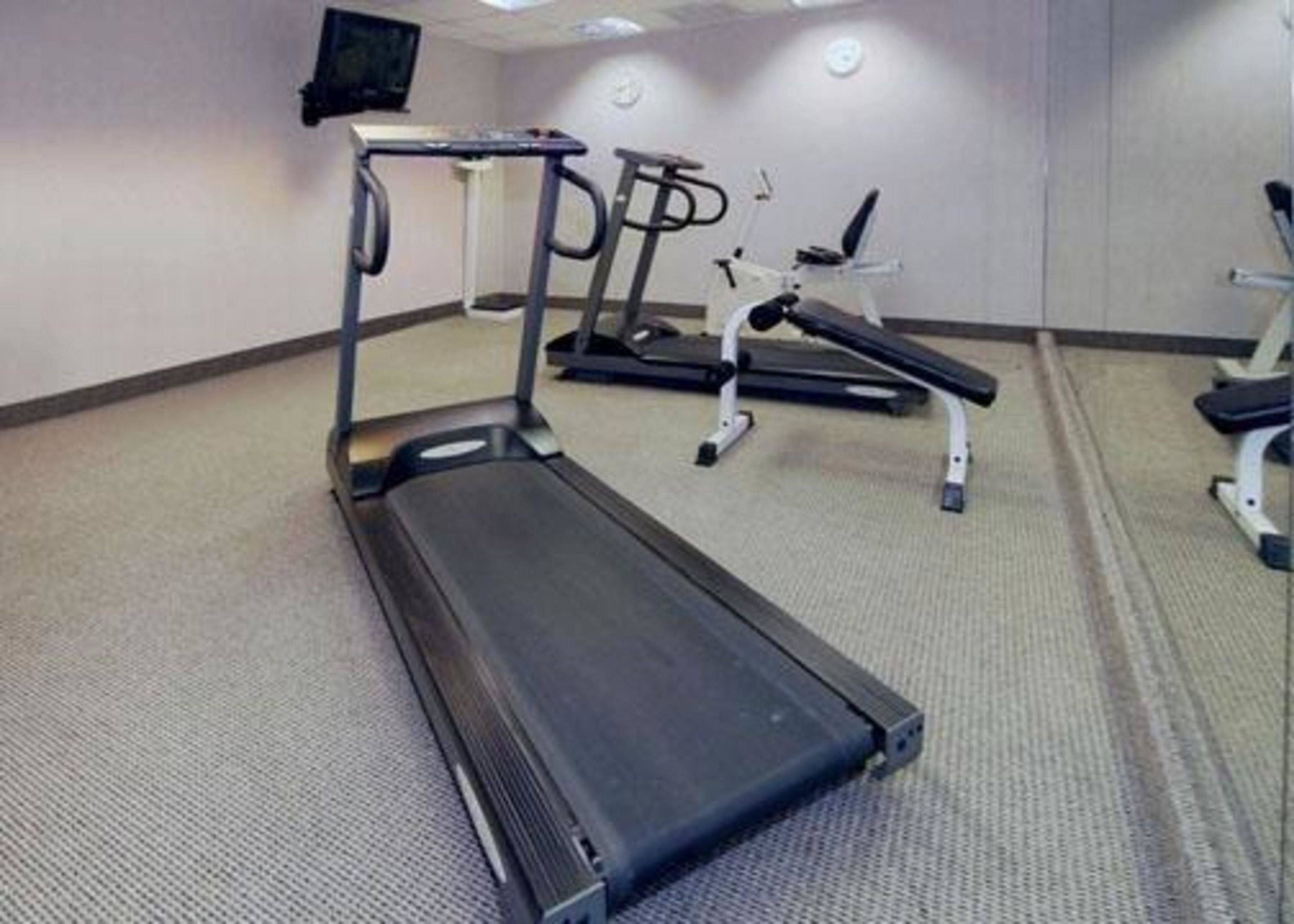 A gym with treadmills and weight machines.