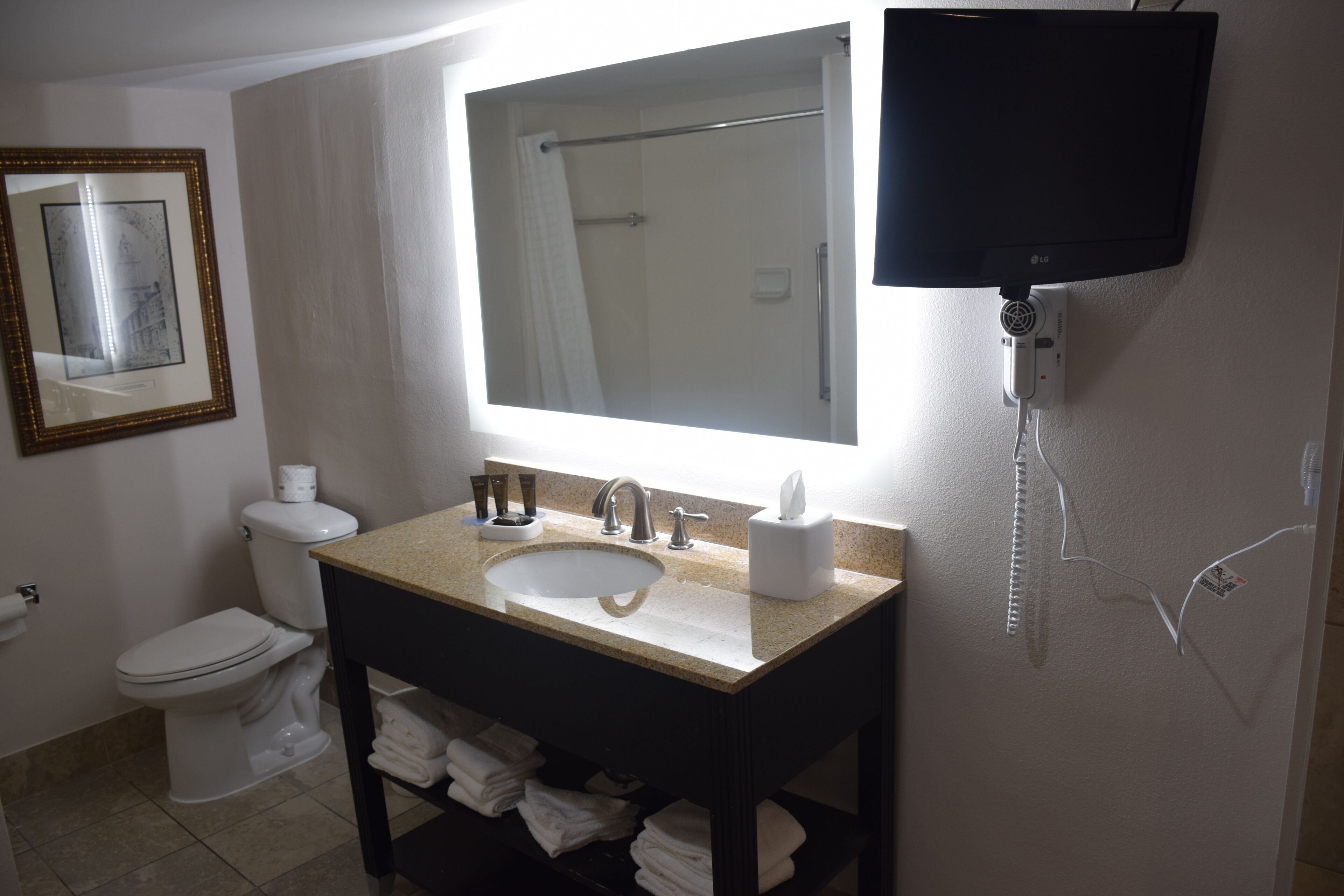 deluxe room, 1 king bed, accessible, non smoking (mobility) | bathroom | combined shower/bathtub, free toiletries, hair dryer, towels