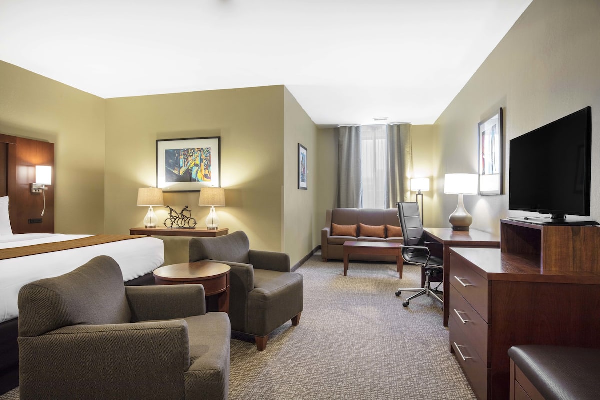 business suite, 1 king bed with sofa bed, non smoking (upgrade) | premium bedding, pillow-top beds, desk, laptop workspace