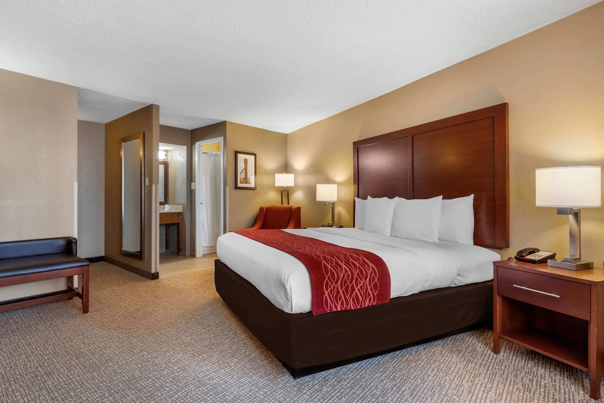 Premium bedding, pillow-top beds, desk, laptop workspace