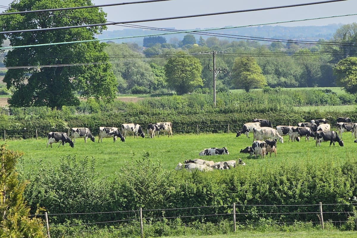 View from property