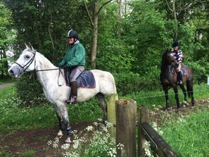 Horseback riding