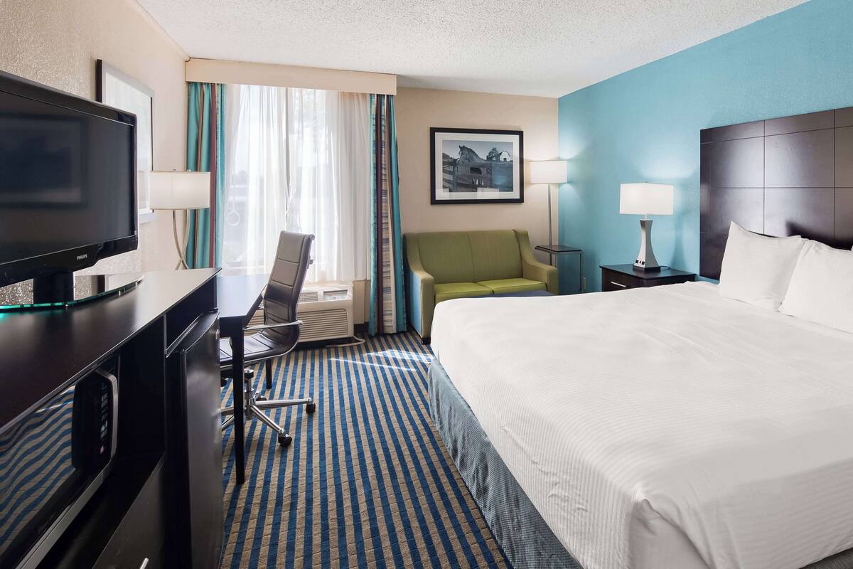 A hotel room with a large bed, a desk with a television, a chair, a lamp, and a picture on the wall.