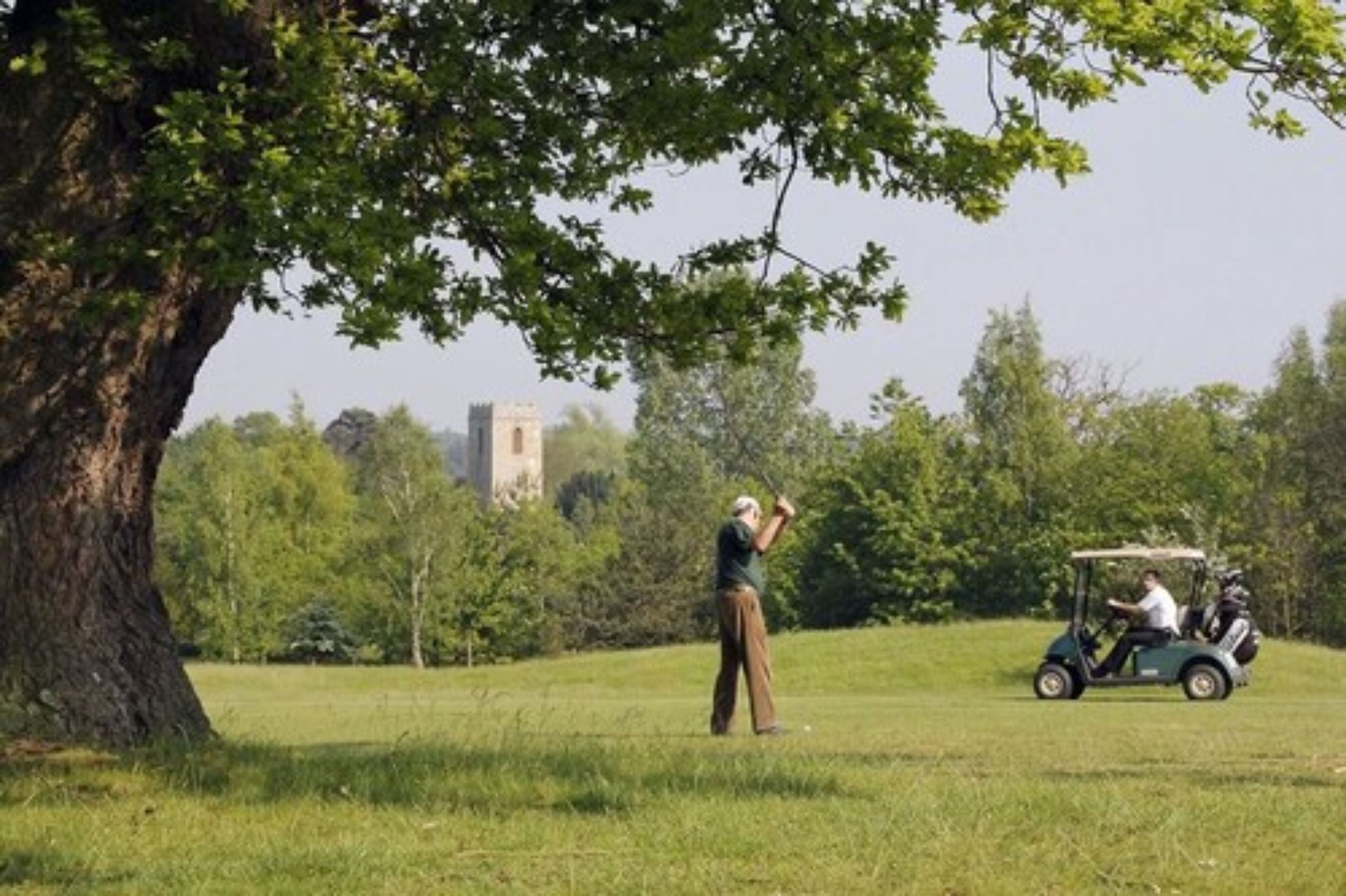 Un terrain de golf avec un grand arbre et un chariot de golf en arrière-plan.