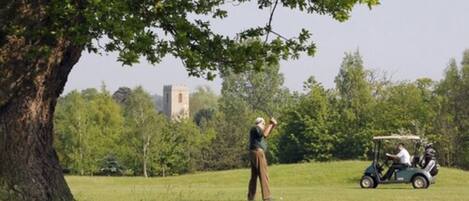 Un terrain de golf avec un grand arbre et un chariot de golf en arrière-plan.