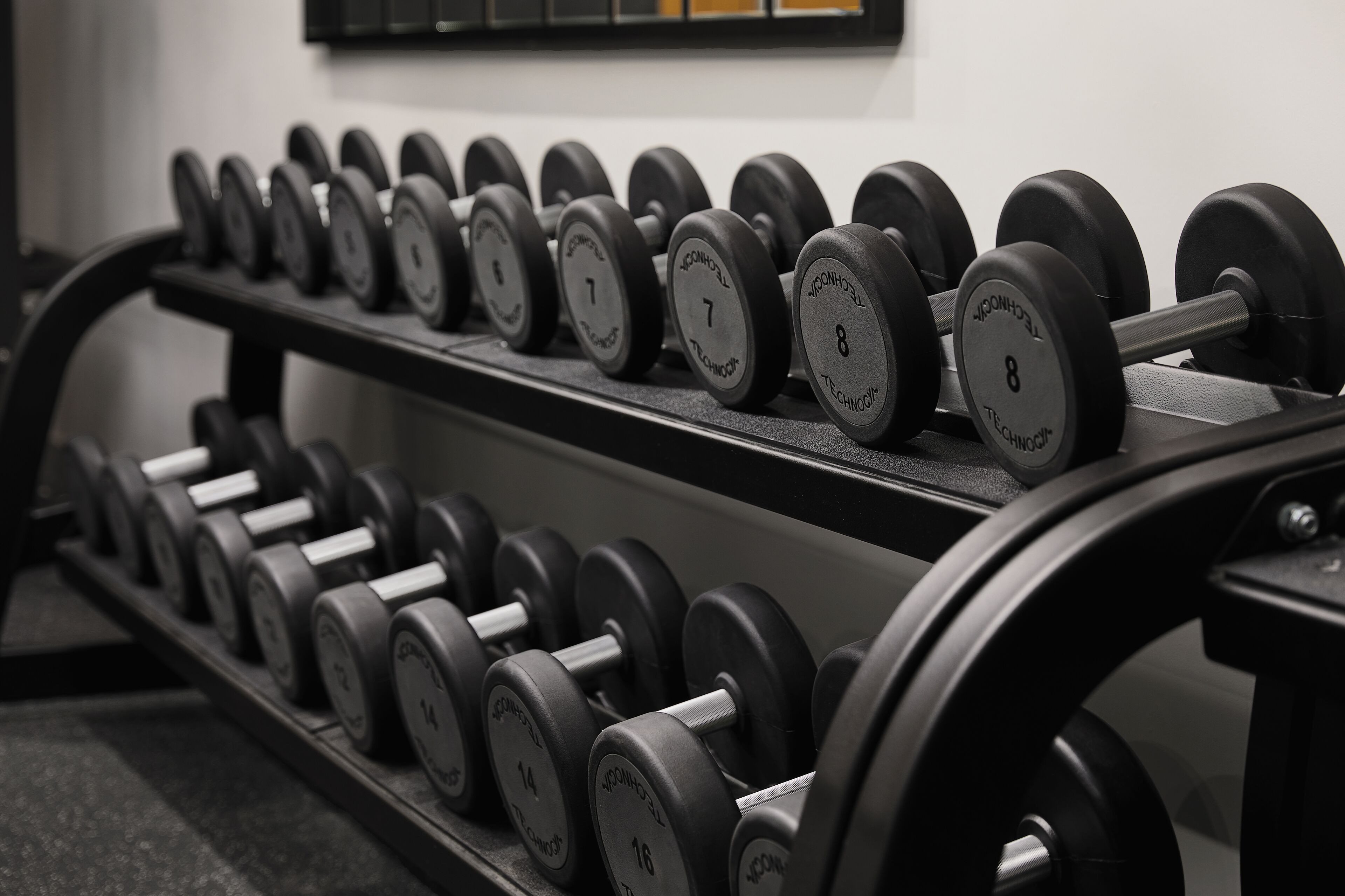 A rack of dumbbells with weights ranging from 4 to 16 kilograms.