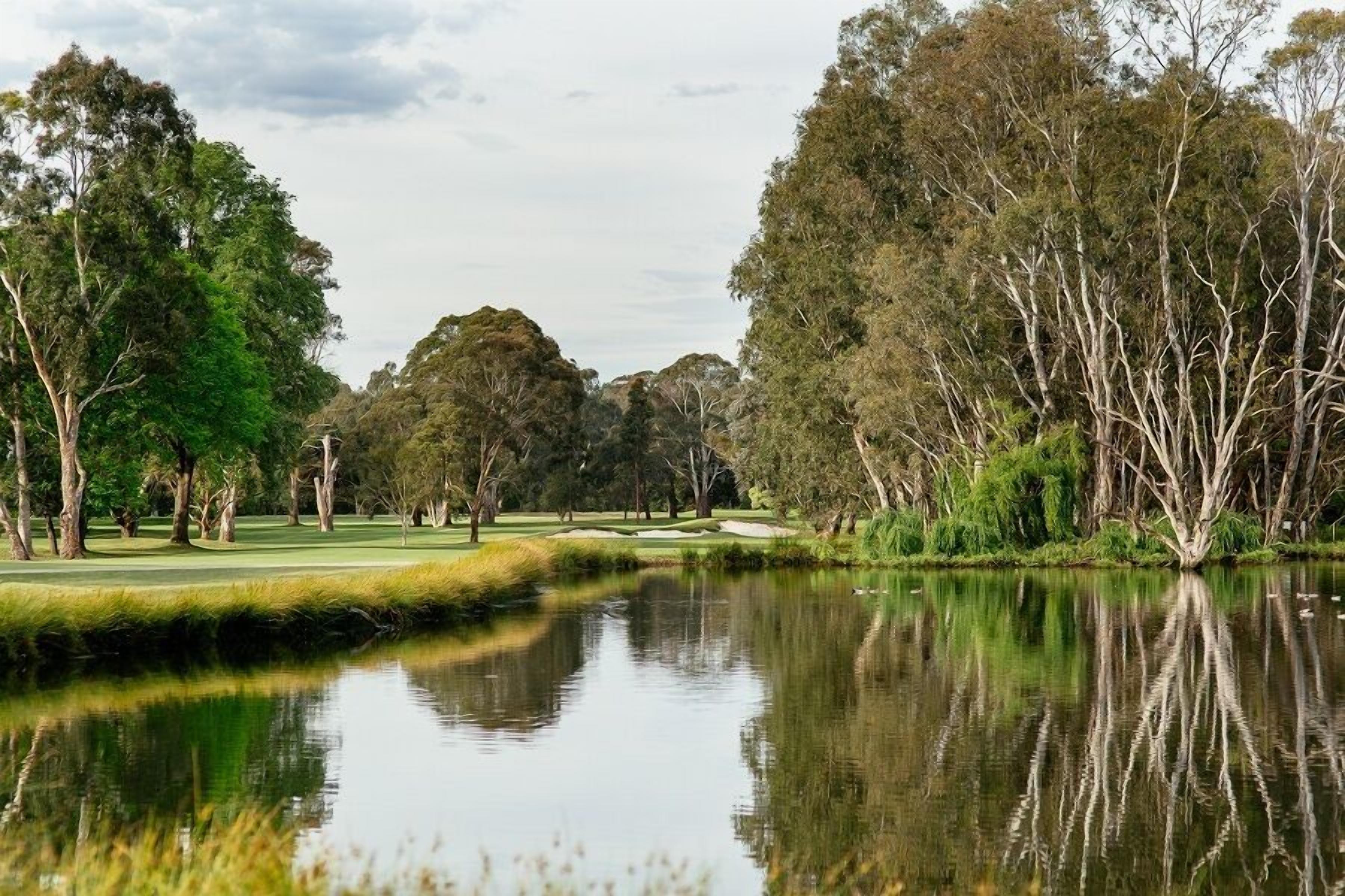 A serene golf course with a calm pond reflecting trees and a clear sky.