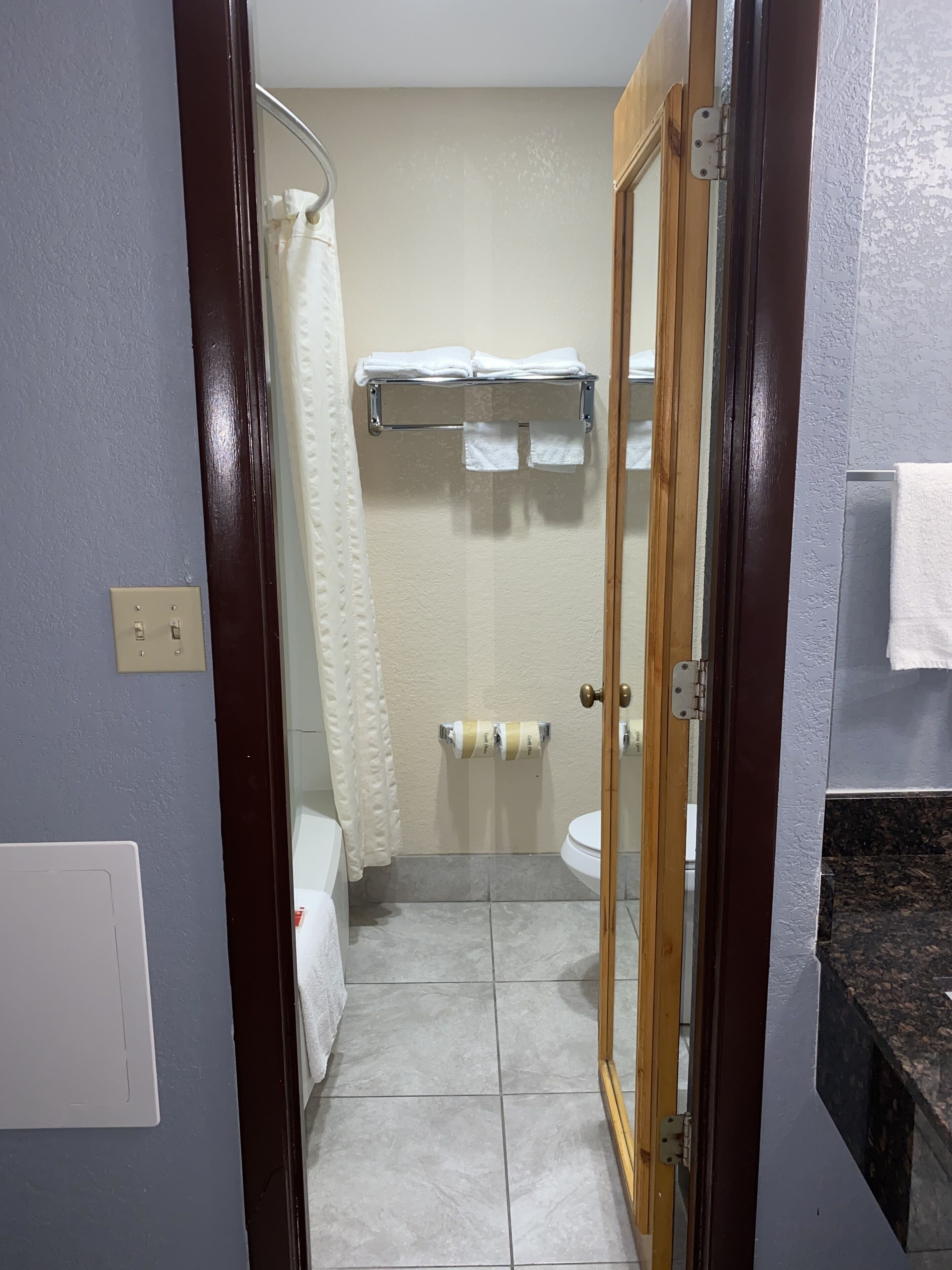 A bathroom with a shower, toilet, and a towel rack.