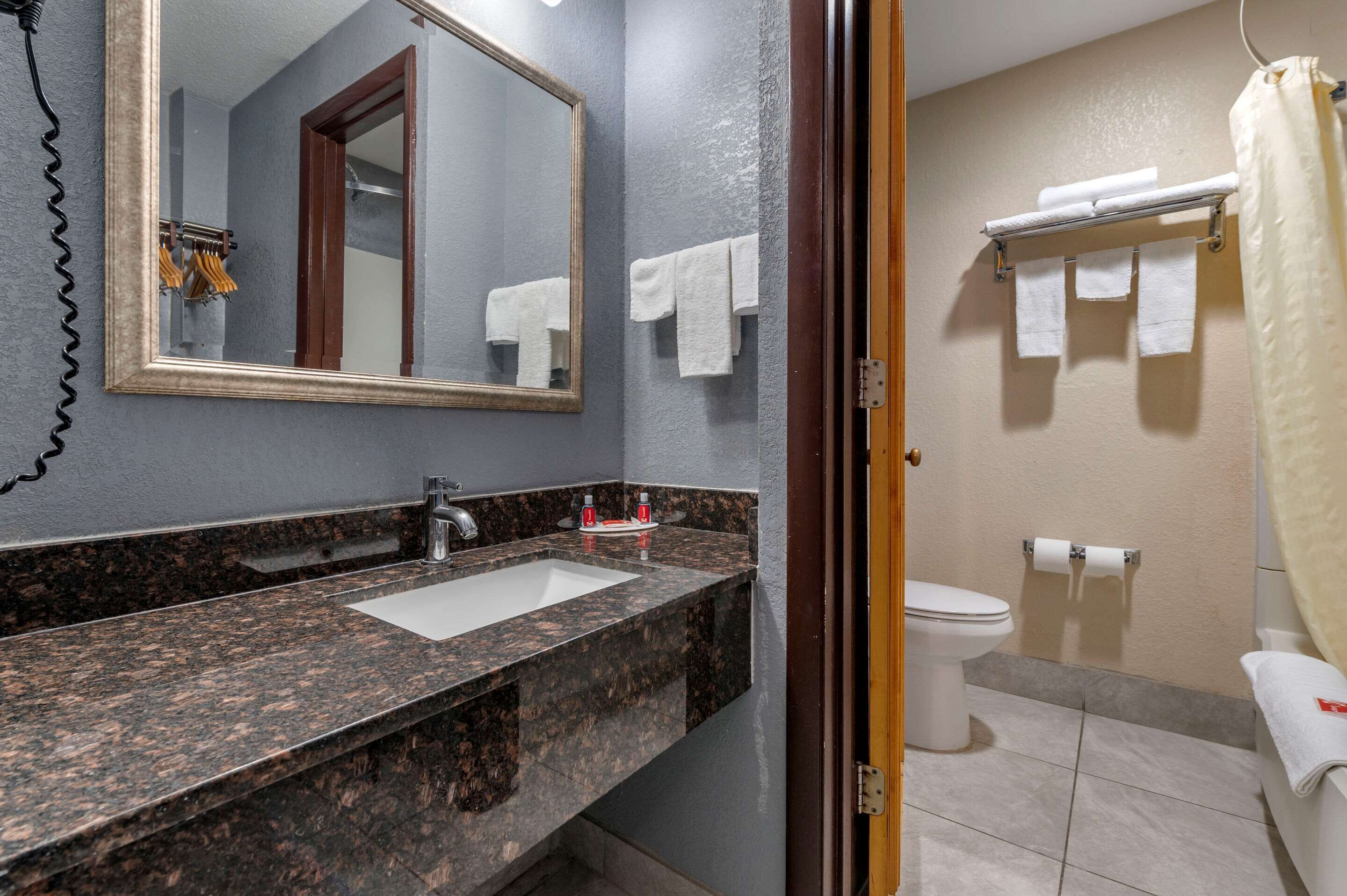 Une salle de bain avec un lavabo en granit, un miroir, des toilettes et un rideau de douche.