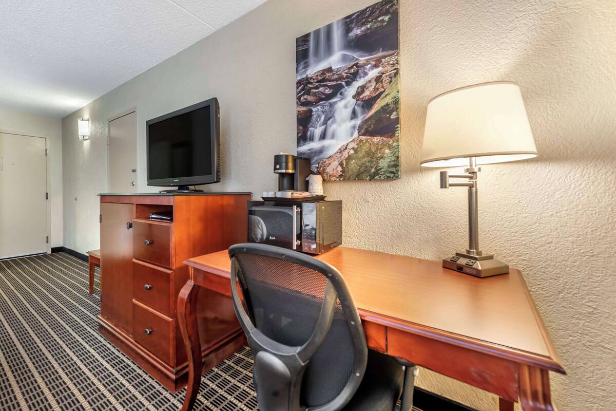 standard room, 2 double beds, non smoking, refrigerator & microwave | 1 bedroom, desk, laptop workspace, iron/ironing board