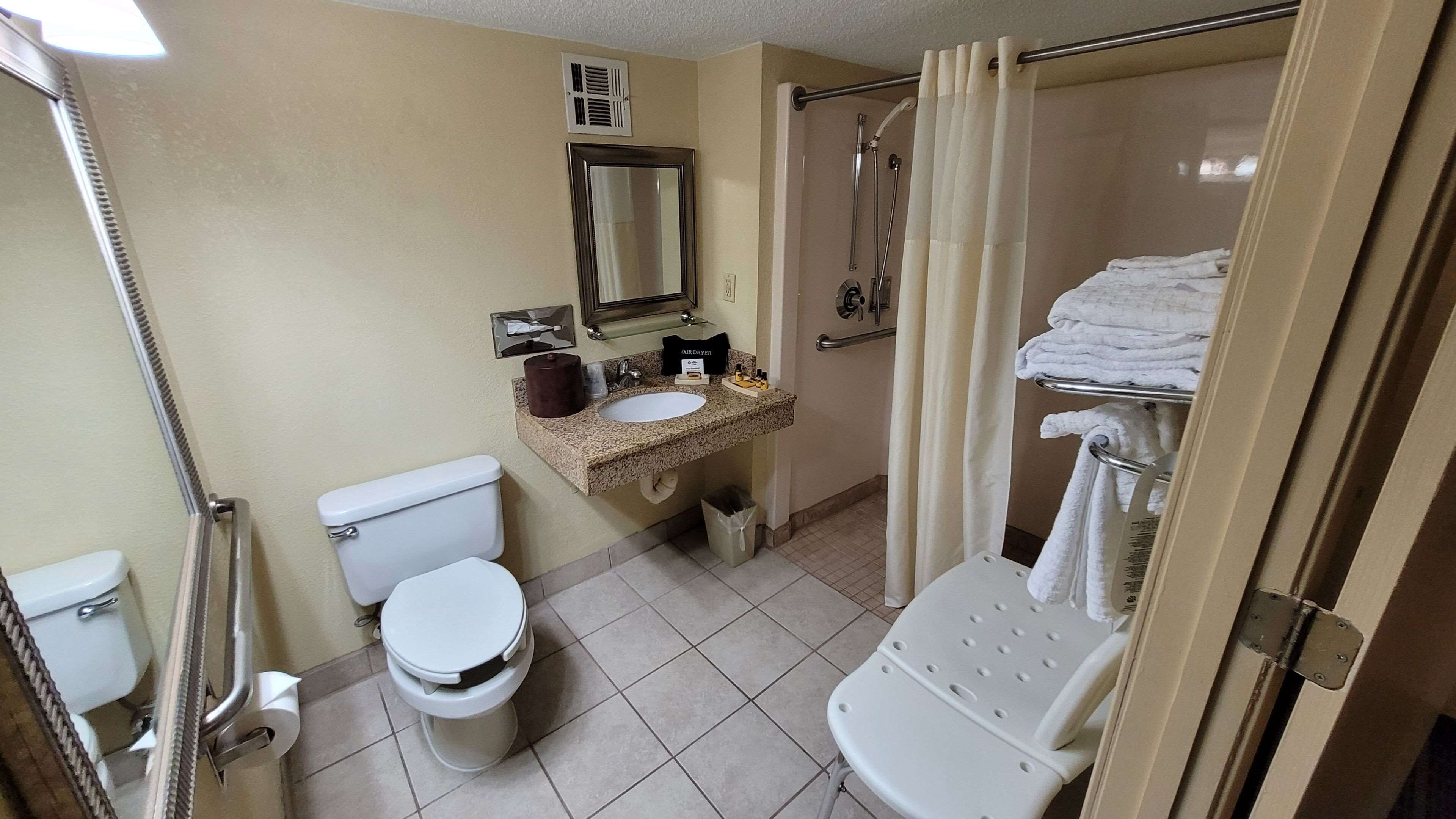 standard room, 1 queen bed, accessible, refrigerator & microwave | bathroom | hair dryer, towels