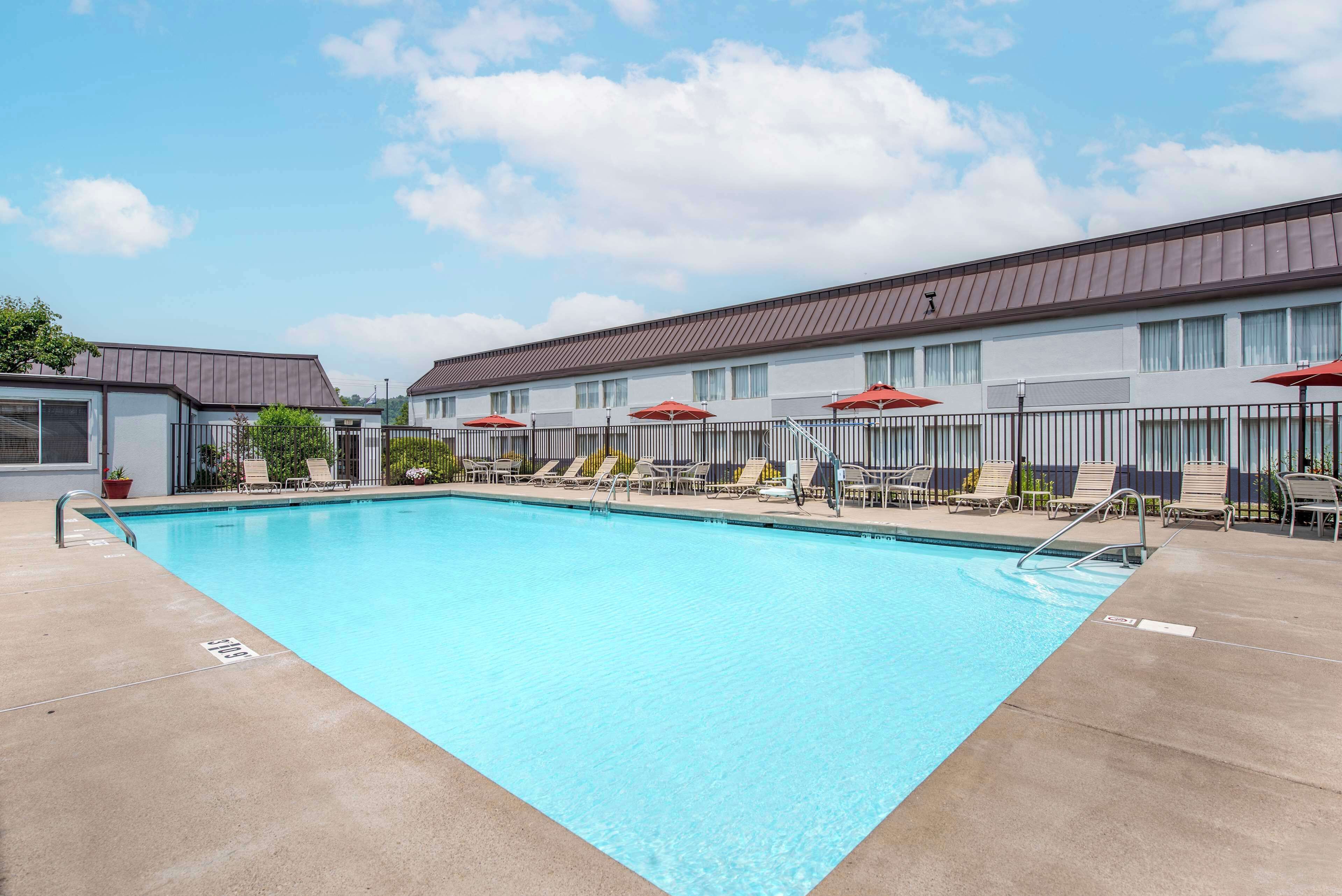 Una piscina al aire libre, sombrillas, sillones reclinables de piscina
