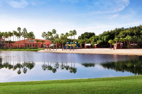 Walt Disney World Dolphin - Image 62