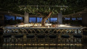 Una zona de bar con un árbol grande, varios taburetes y vistas de la ciudad a través de amplios ventanales.