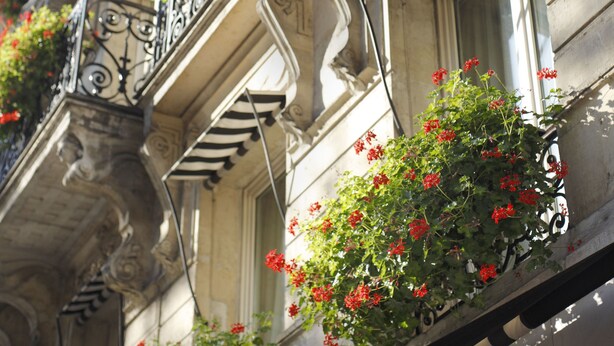 Fachada de edificio con varios balcones decorados con flores rojas y barandillas de hierro forjado negro.