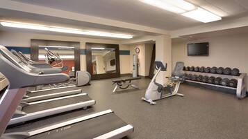 A gym with treadmills, a bench press, and a rack of dumbbells.