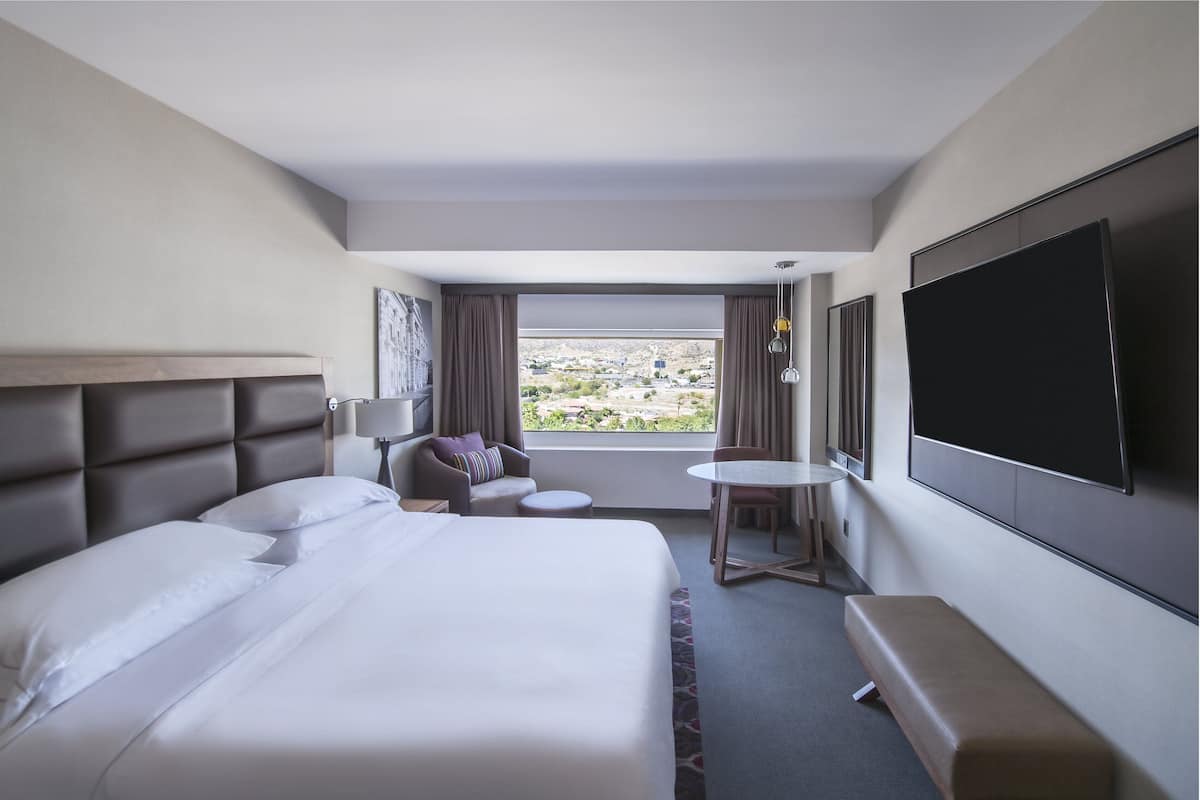 Deluxe Room | Down comforters, pillowtop beds, minibar, in-room safe