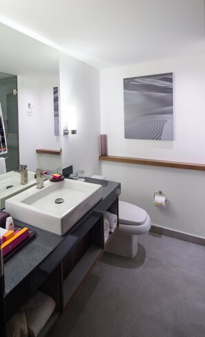 Un baño moderno con un lavamanos grande, un espejo y un inodoro.