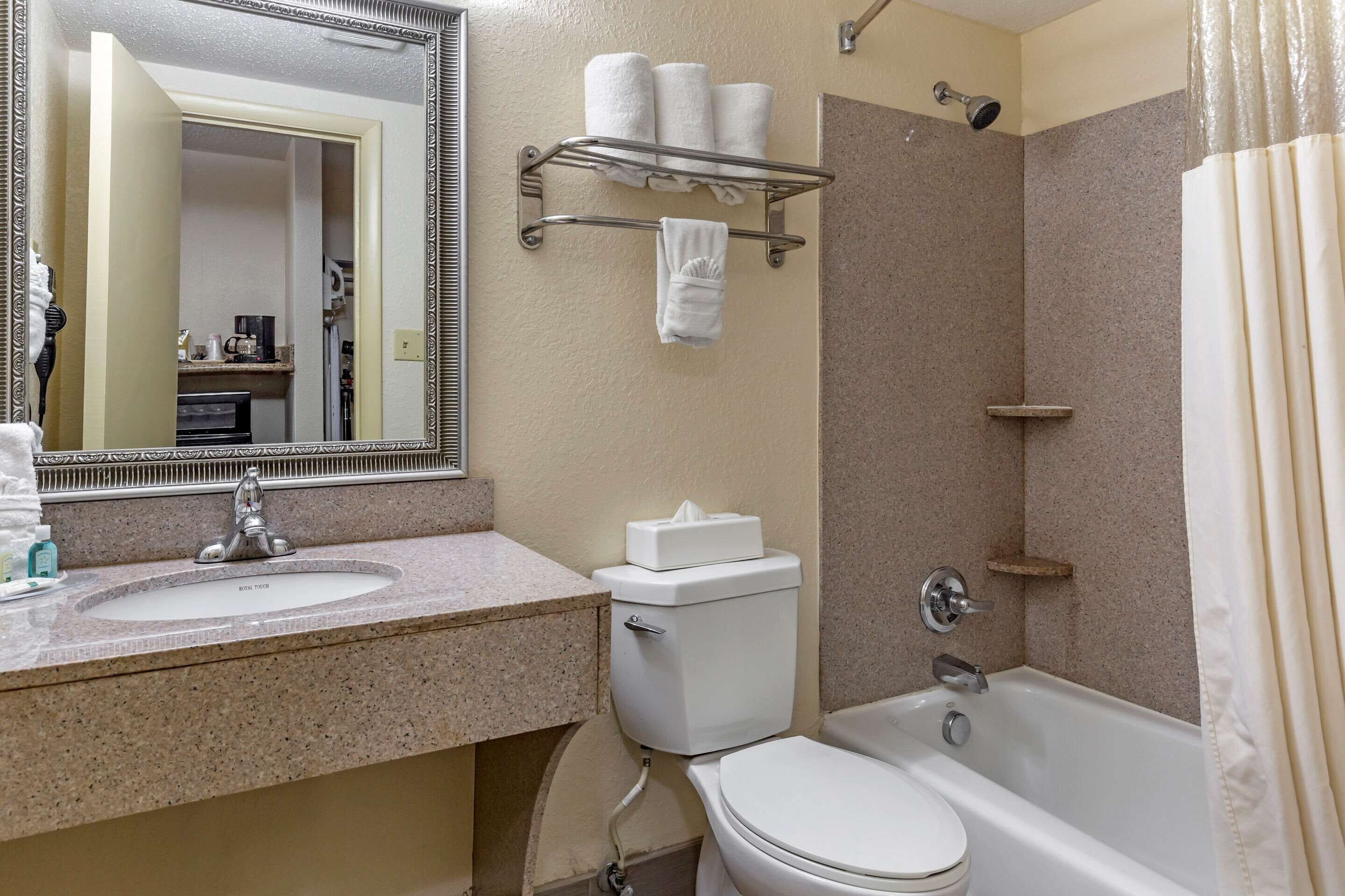 combined shower/bathtub, free toiletries, hair dryer, towels