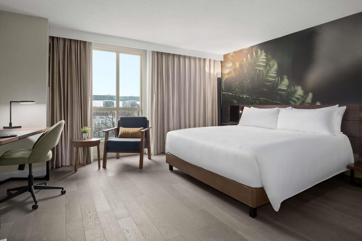 Habitación de hotel con una cama grande, un escritorio con silla, una mesita con una planta y un amplio ventanal con cortinas.