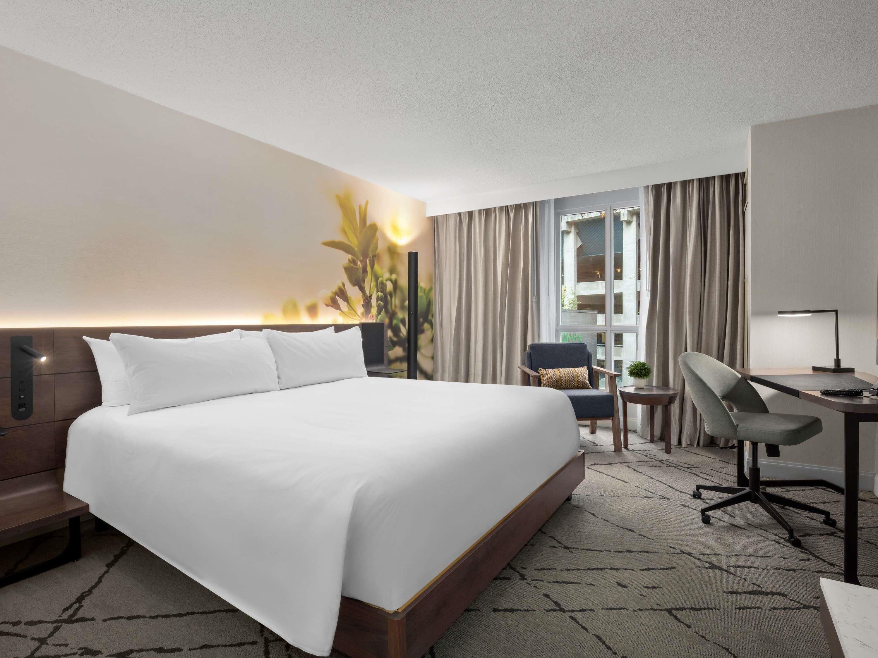 高级房, 1 张特大床 | 1 多间卧室、高档床上用品、客房内保险箱、办公桌