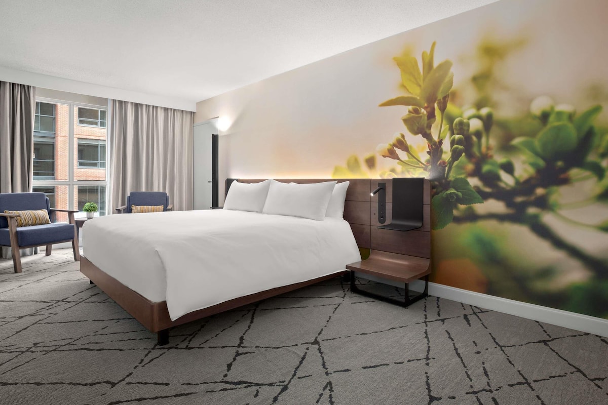 1 Schlafzimmer, hochwertige Bettwaren, Zimmersafe, Schreibtisch