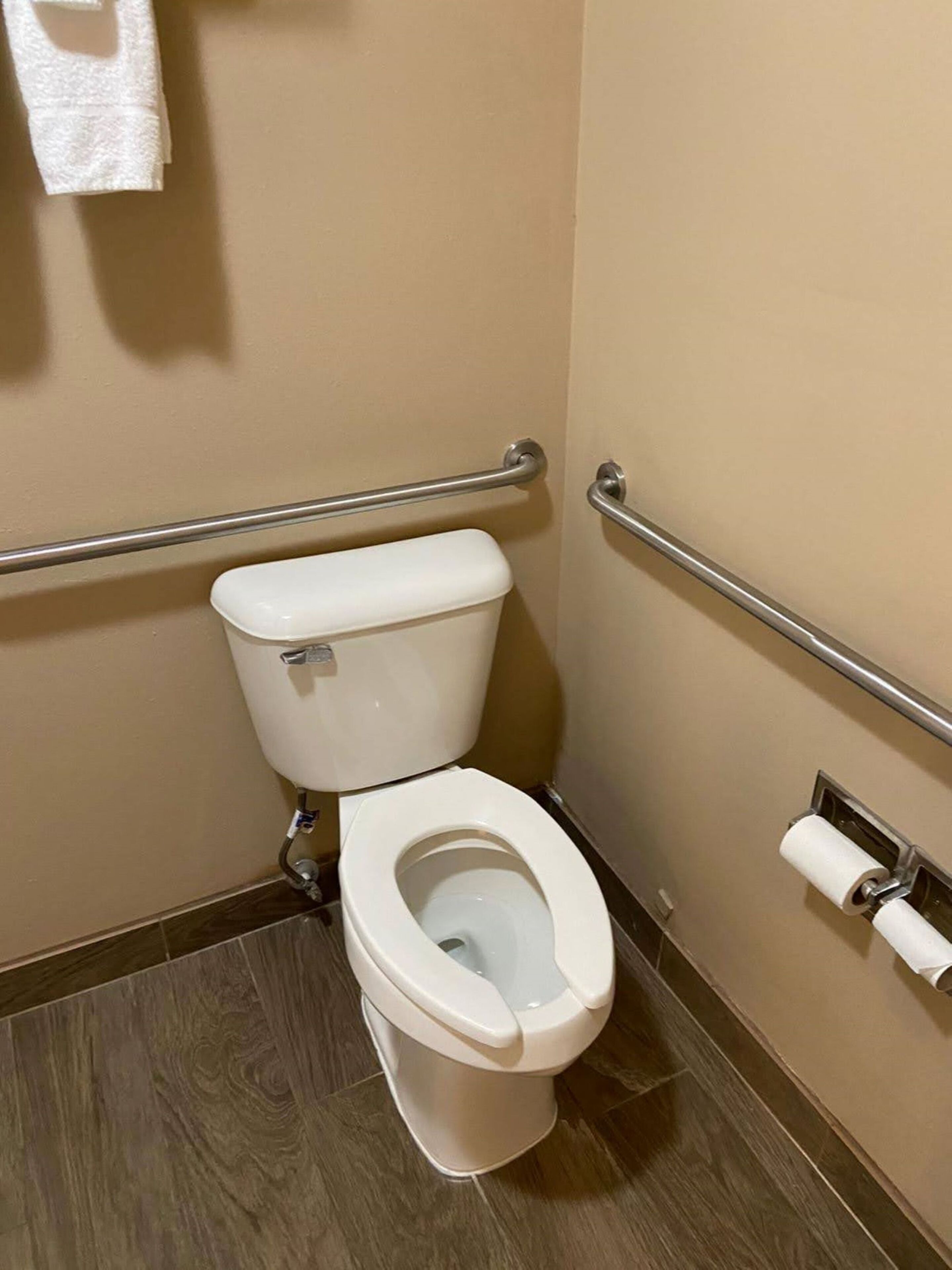 A standard white toilet with a bidet attachment, a handrail on the right, and a toilet paper holder on the wall.