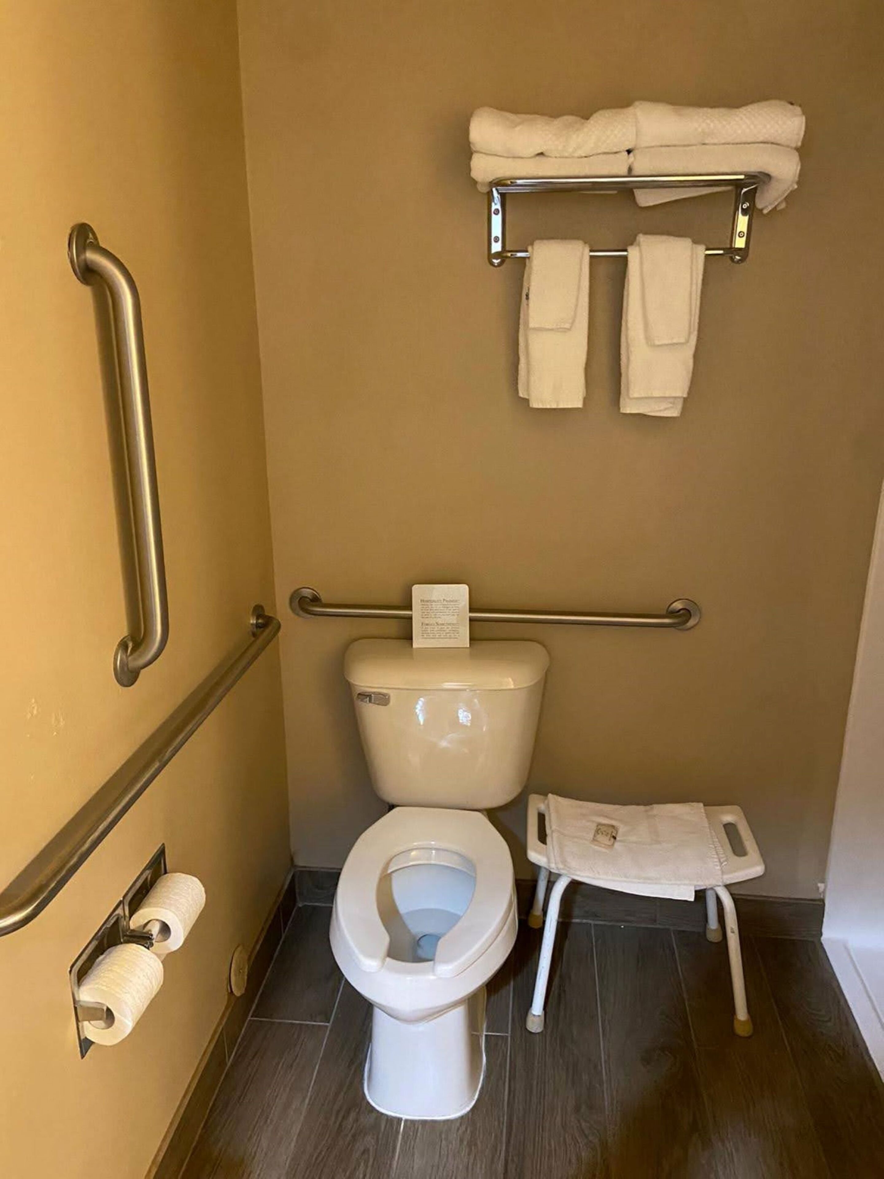 A bathroom with a toilet, handrails, a grab bar, a toilet paper holder, and a step stool.