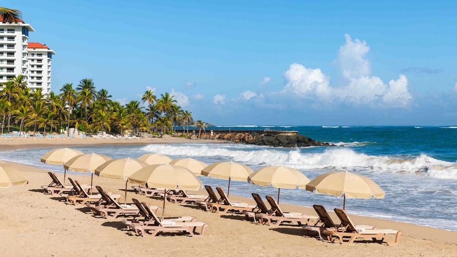 Condado Palm Inn San Juan, Tapestry Collection by Hilton