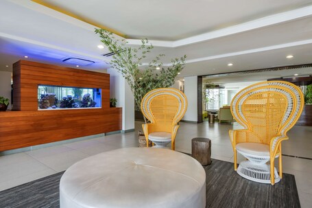 Condado Palm Inn San Juan, Tapestry Collection by Hilton - Image 5