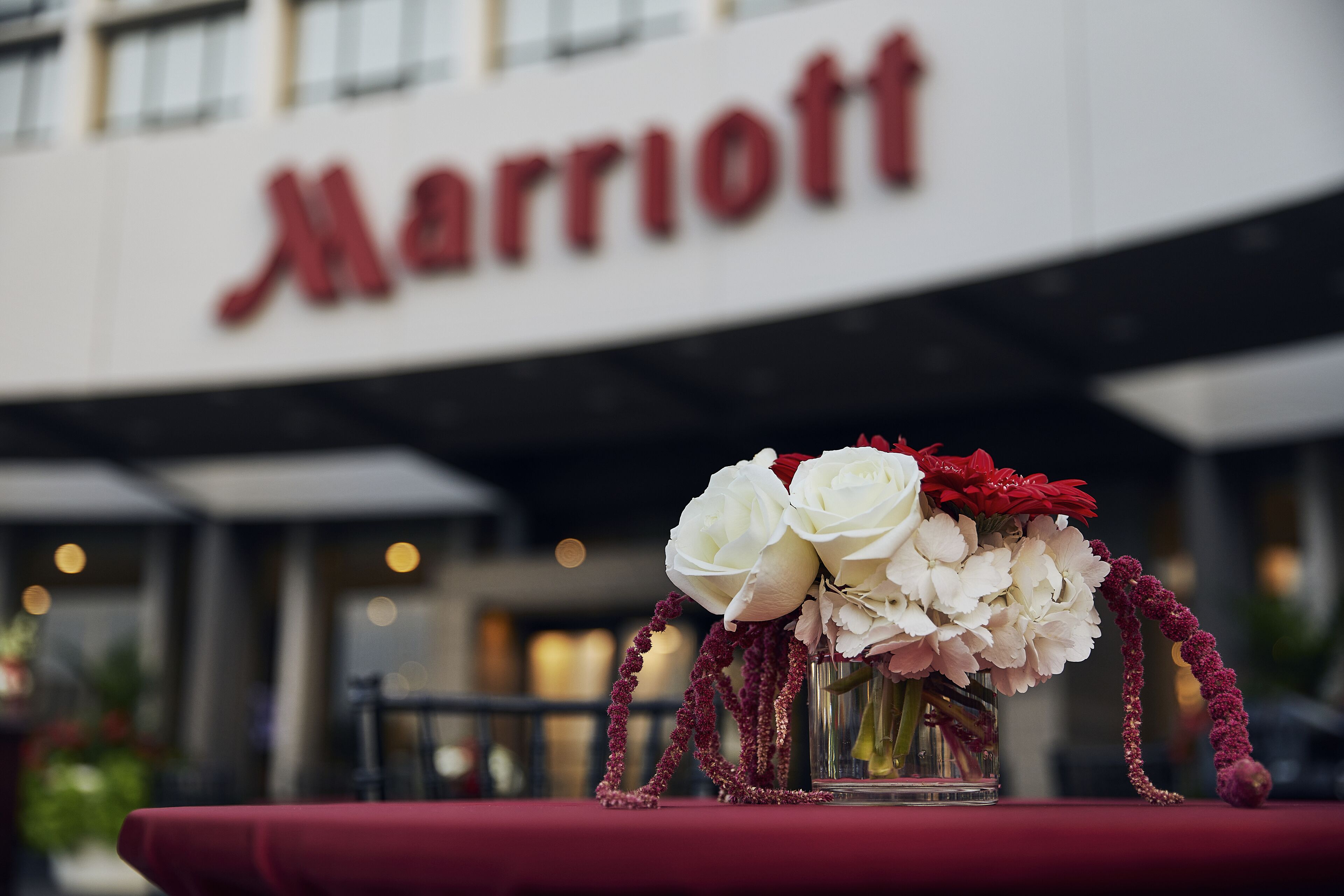 Foto - Chicago Marriott Oak Brook