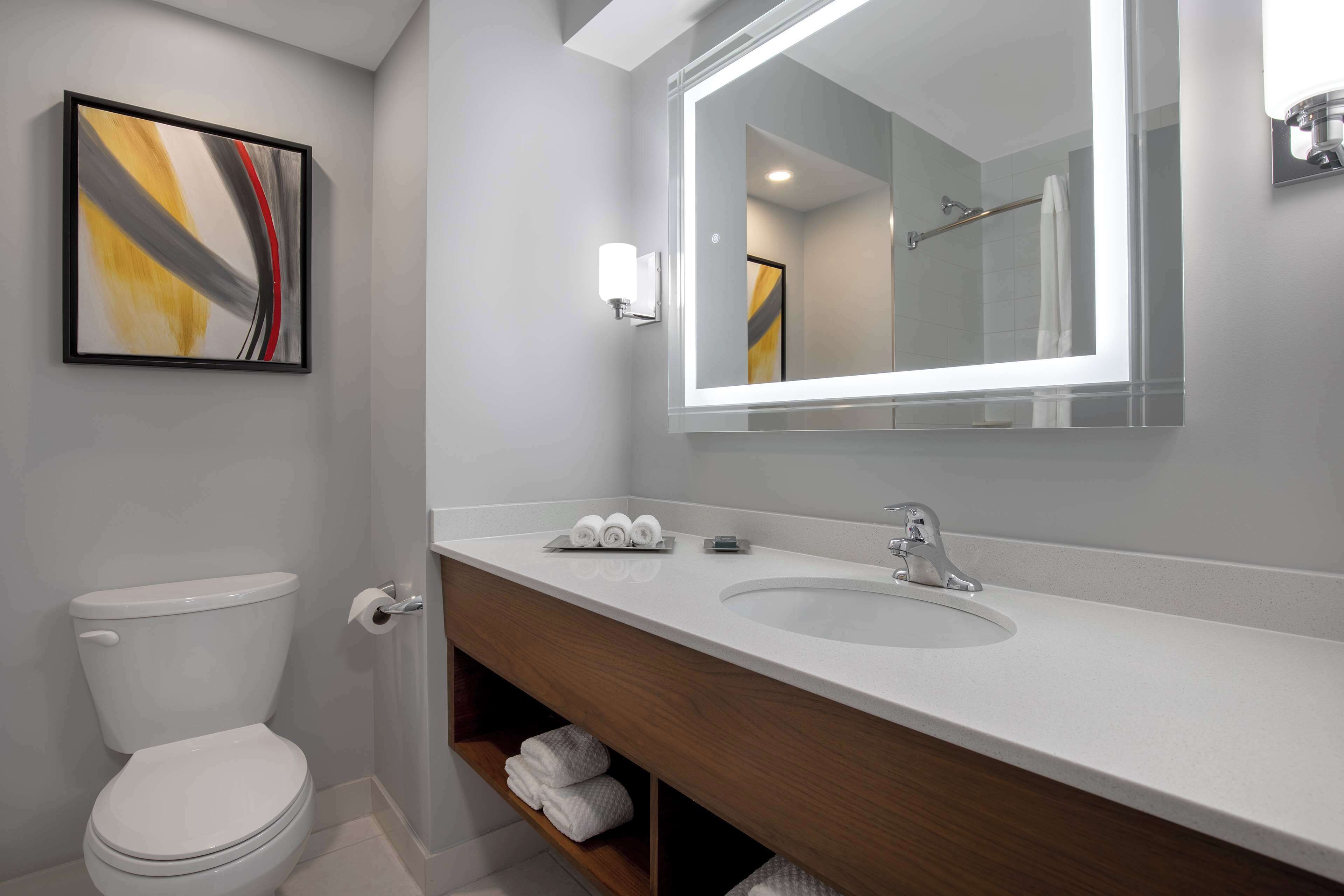 room, 1 king bed, kitchen | bathroom | combined shower/bathtub, eco-friendly toiletries, hair dryer, towels