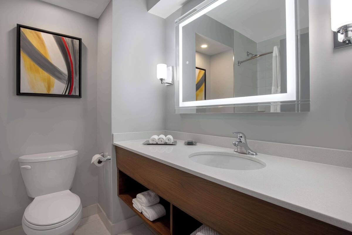 room, 1 king bed, kitchen | bathroom | combined shower/bathtub, eco-friendly toiletries, hair dryer, towels