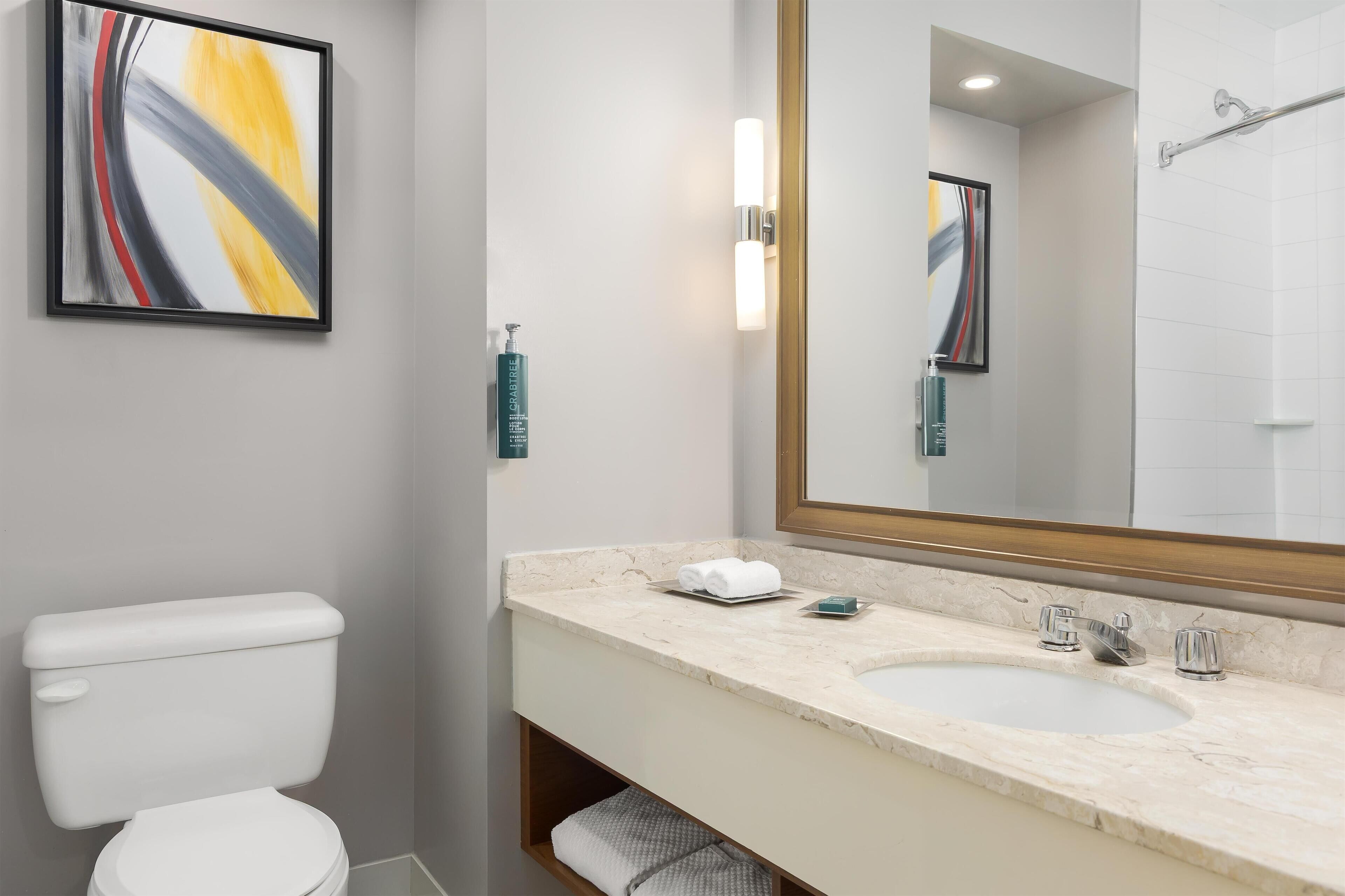 A modern bathroom with a toilet, a sink, and a large mirror.