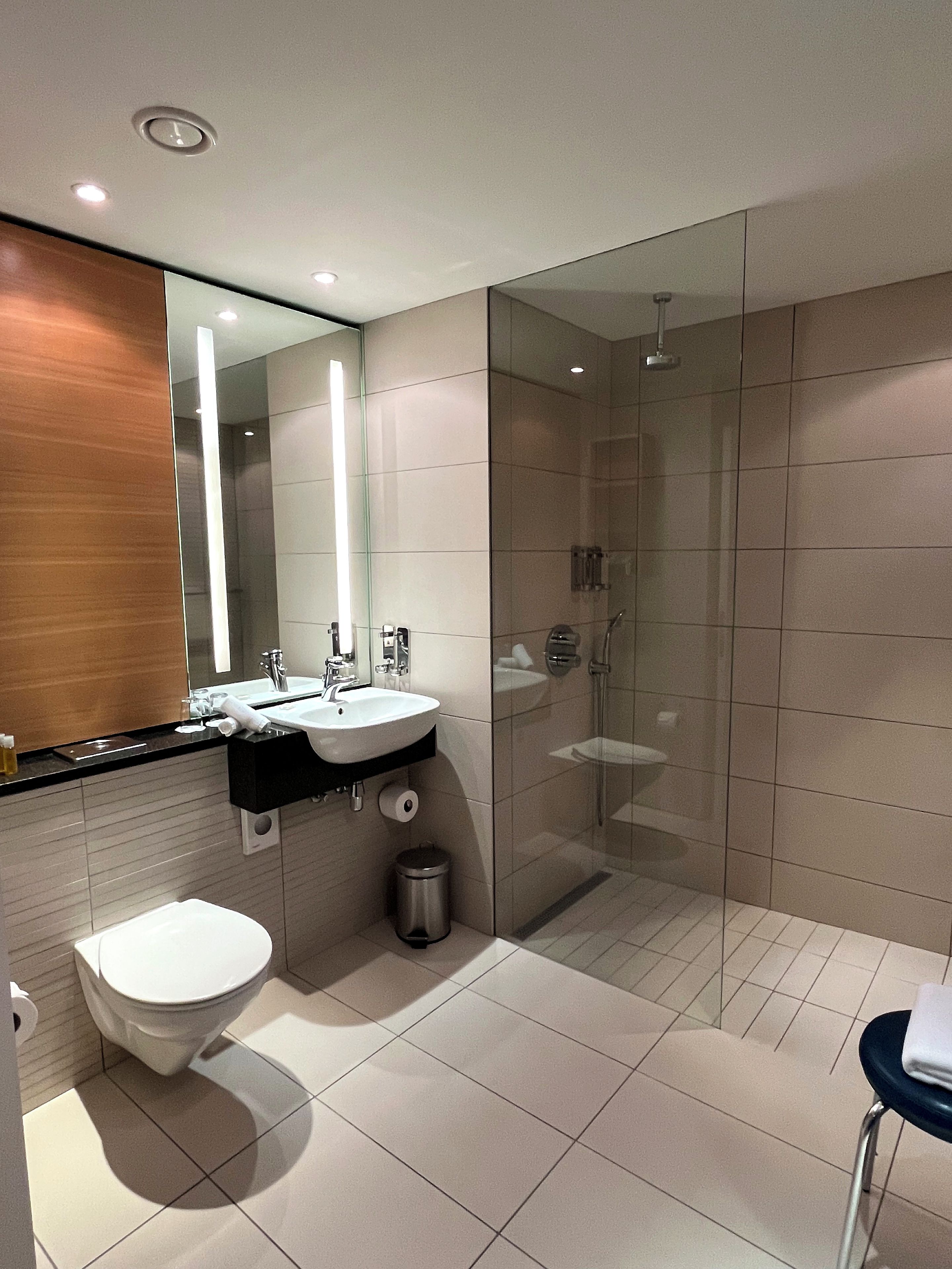 A modern bathroom with a glass-enclosed shower, a white sink, and a toilet.