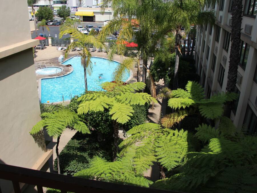 A rooftop pool surrounded by lush greenery, with a view of the cityscape in the background.